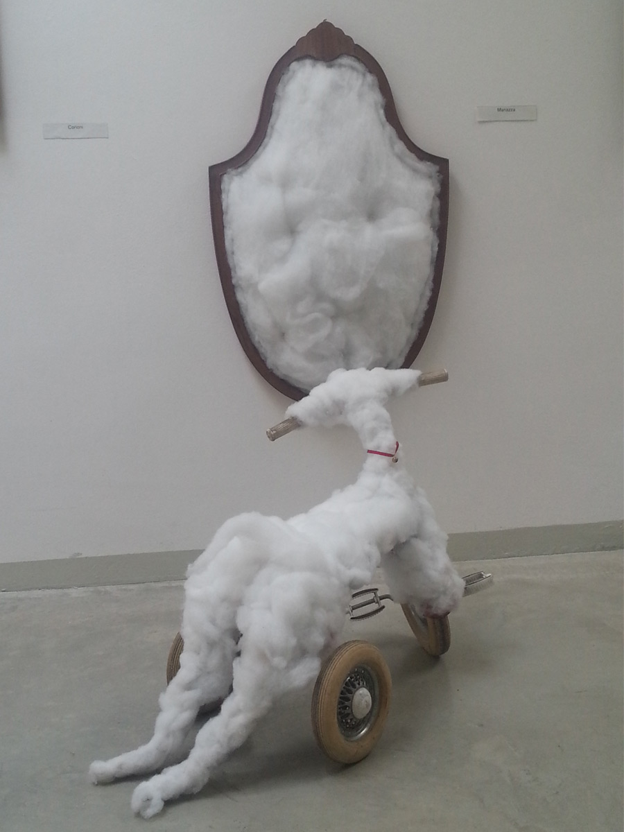 Narcissus | Silvia Manazza